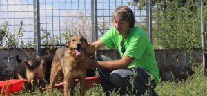 Hanging with my boys at the dog shelter